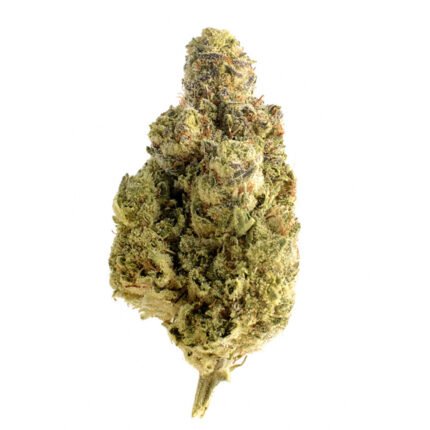 Blue Dream Weed kaufen
