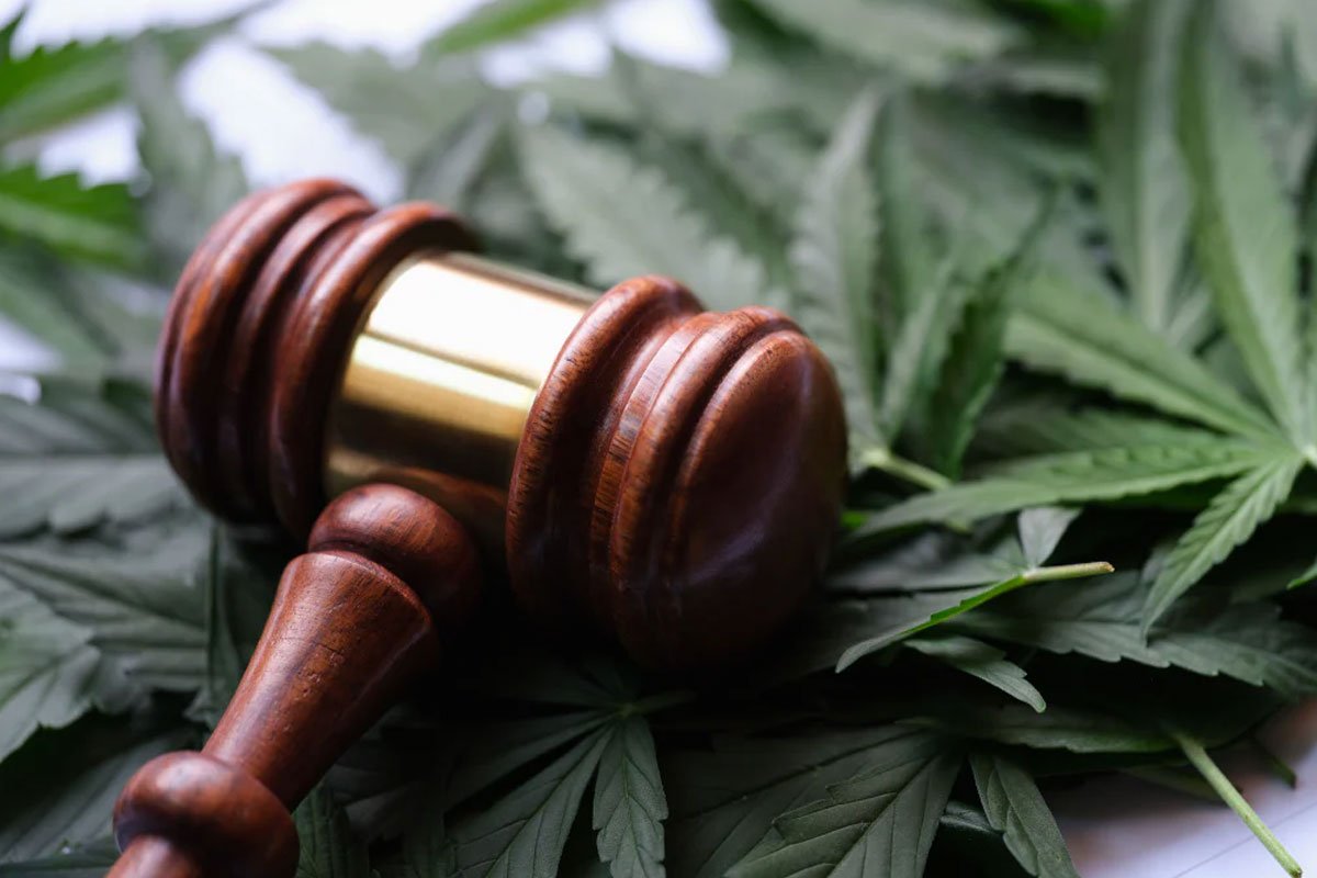EU-Harmonisierung des Cannabisrechts