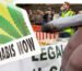 Reformen der britischen Cannabispolitik nach dem Brexit