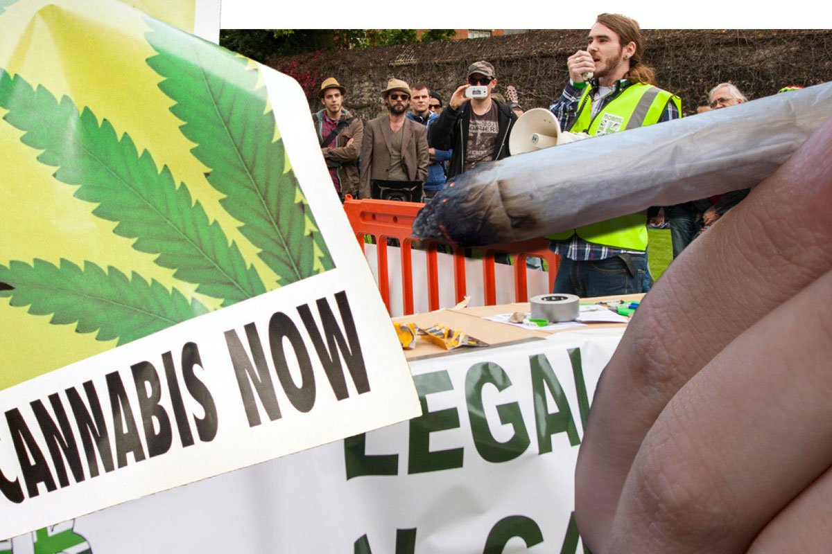 Reformen der britischen Cannabispolitik nach dem Brexit
